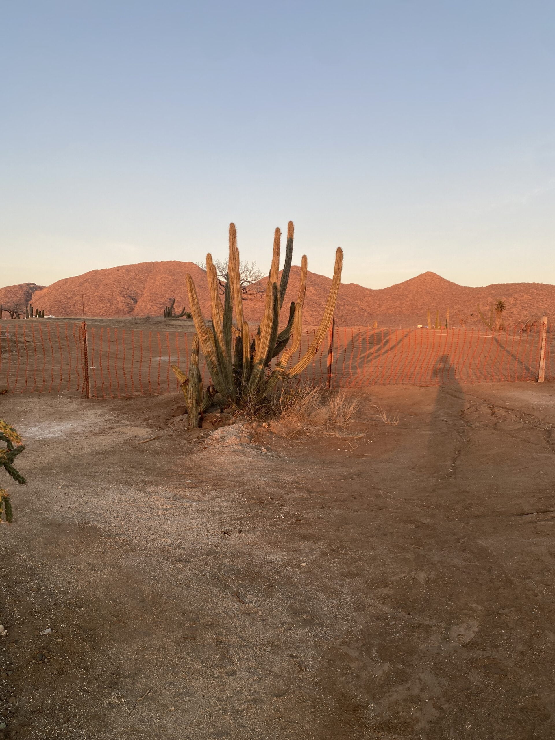 Landpreise in Cerritos Beach: (März 2023)