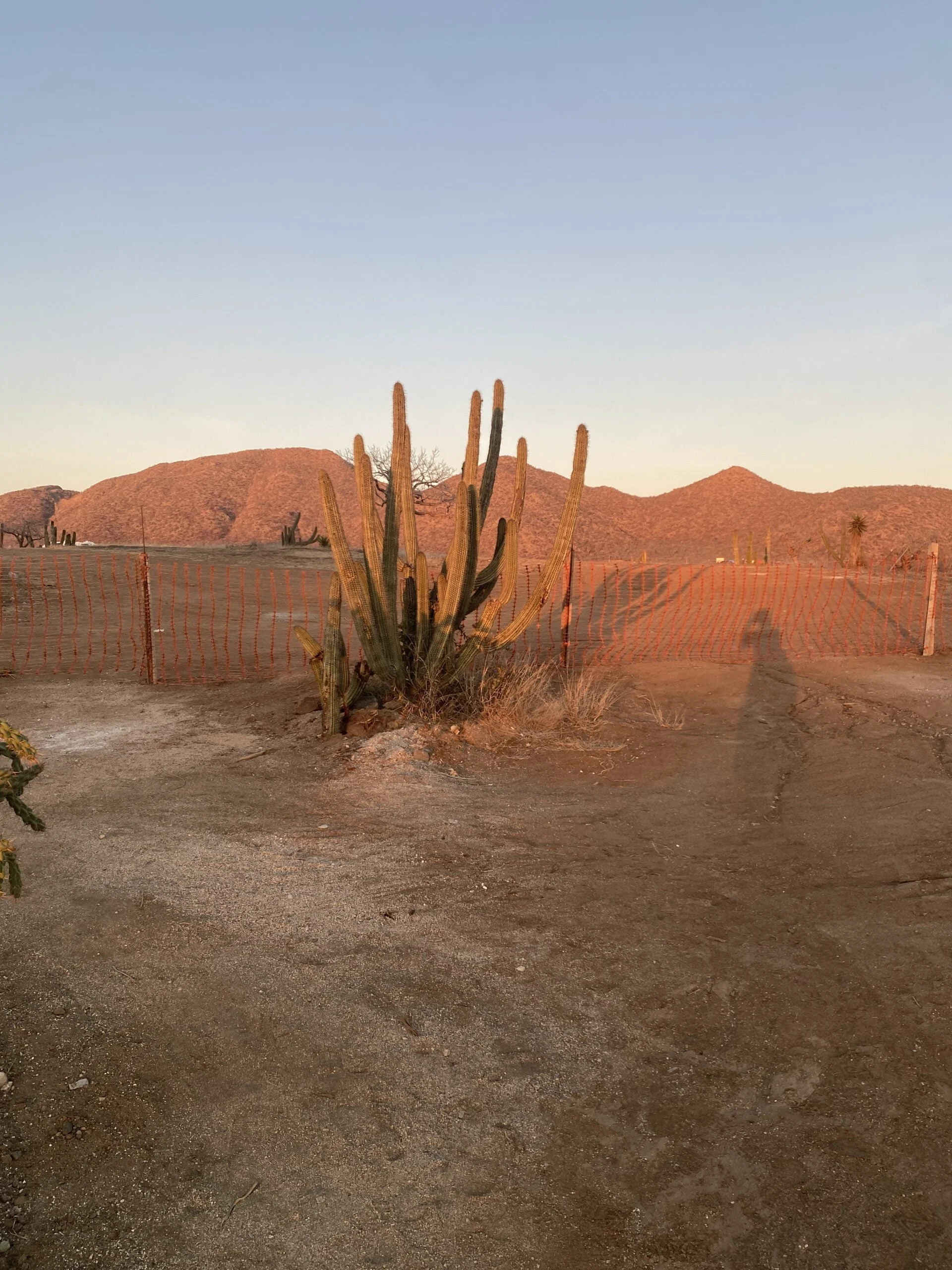 Landpreise in Cerritos Beach: (März 2023)
