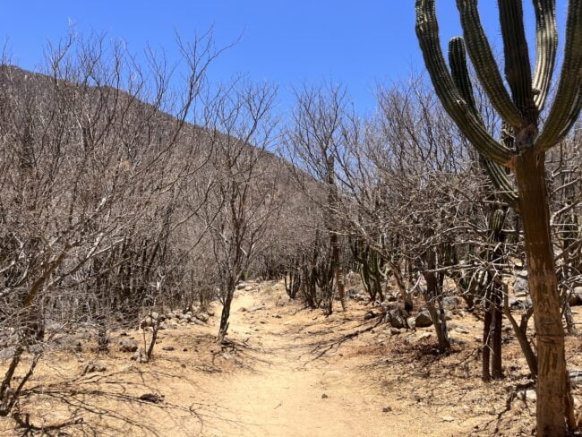 Wanderweg Cascada Sol del Mayo (Santiago)