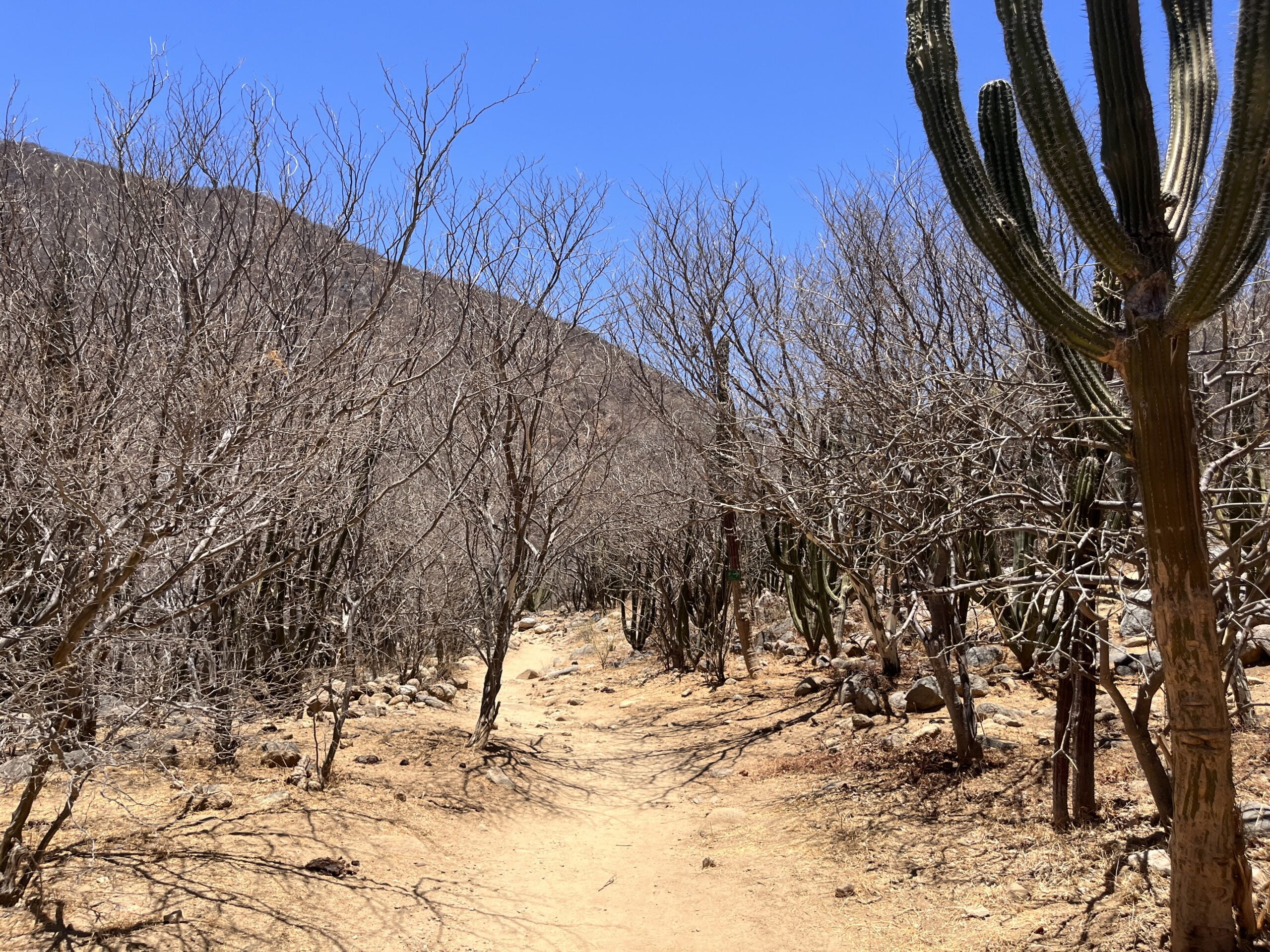 Wanderweg Cascada Sol del Mayo (Santiago)